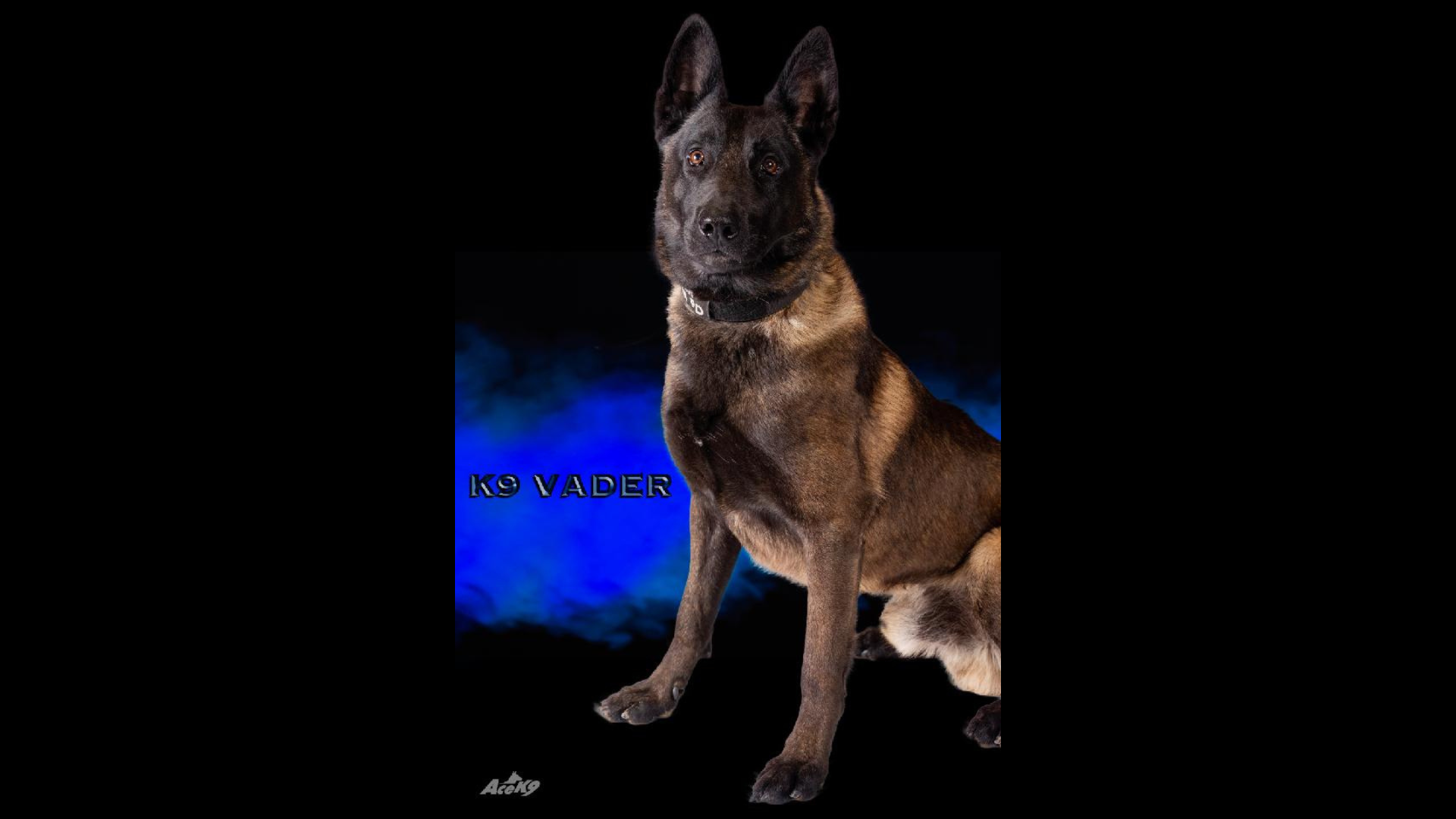 Arnold Police Department K-9 Dies