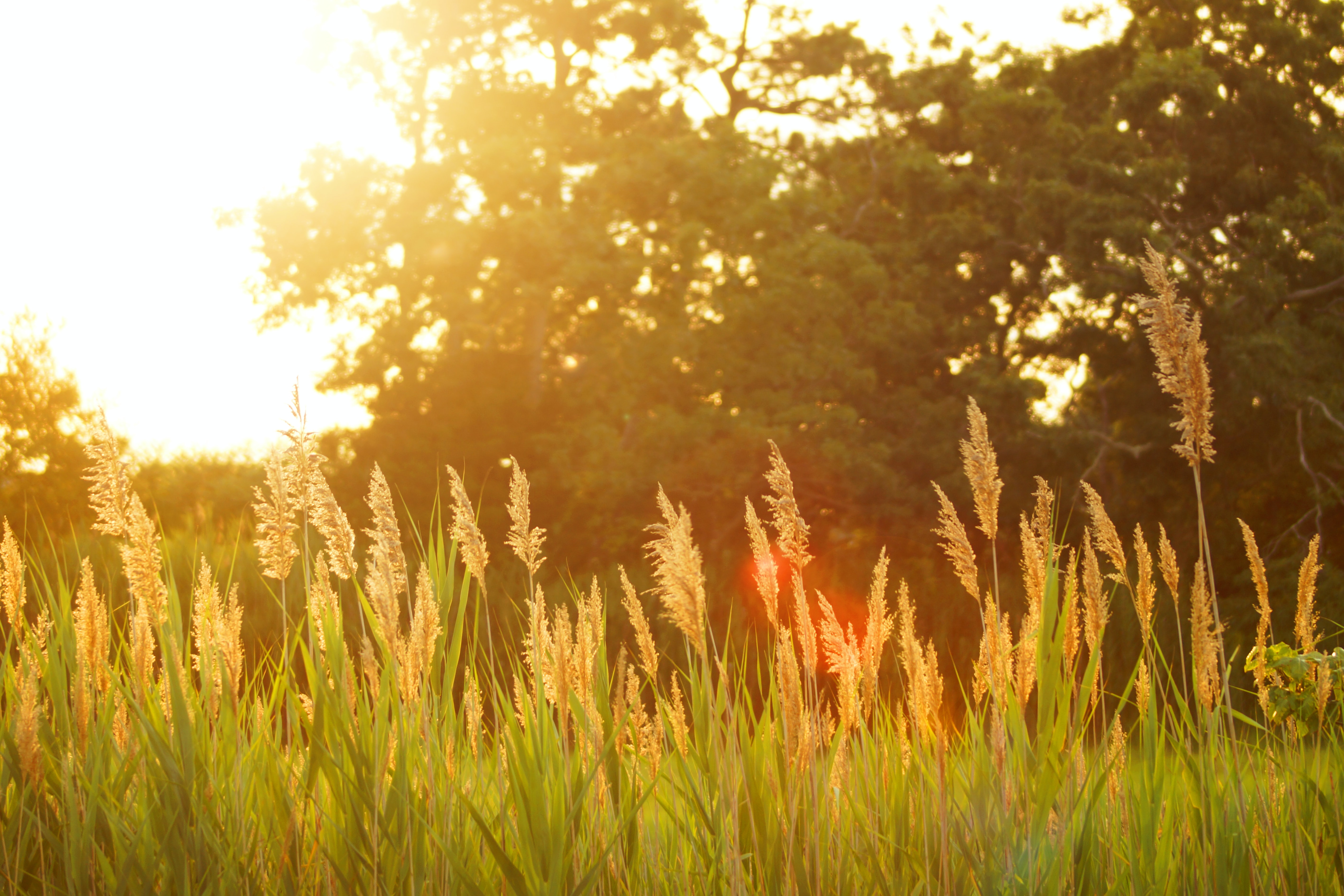 Check on Elderly During Heat Wave