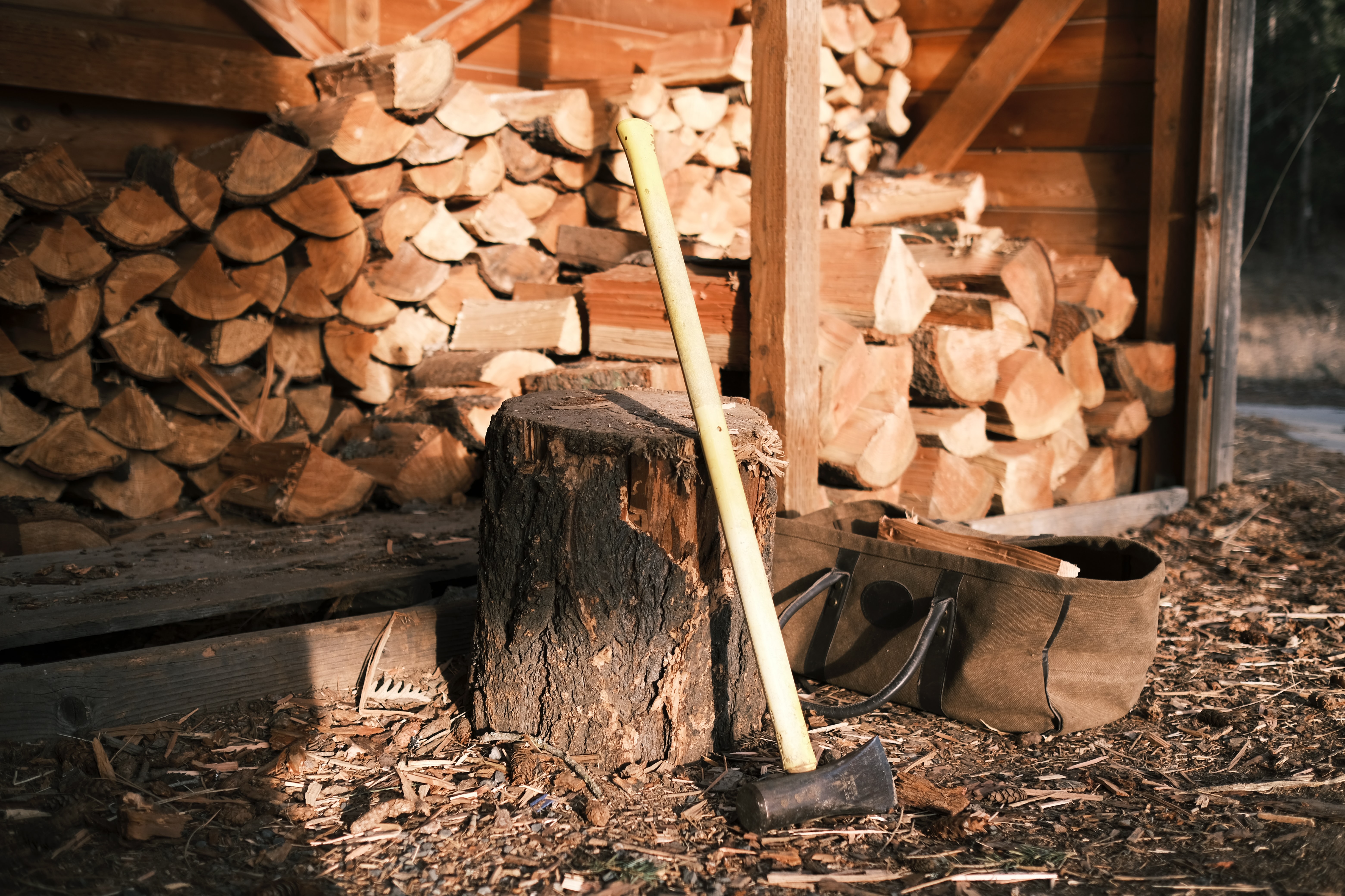 Timber Tips for Winter Firewood