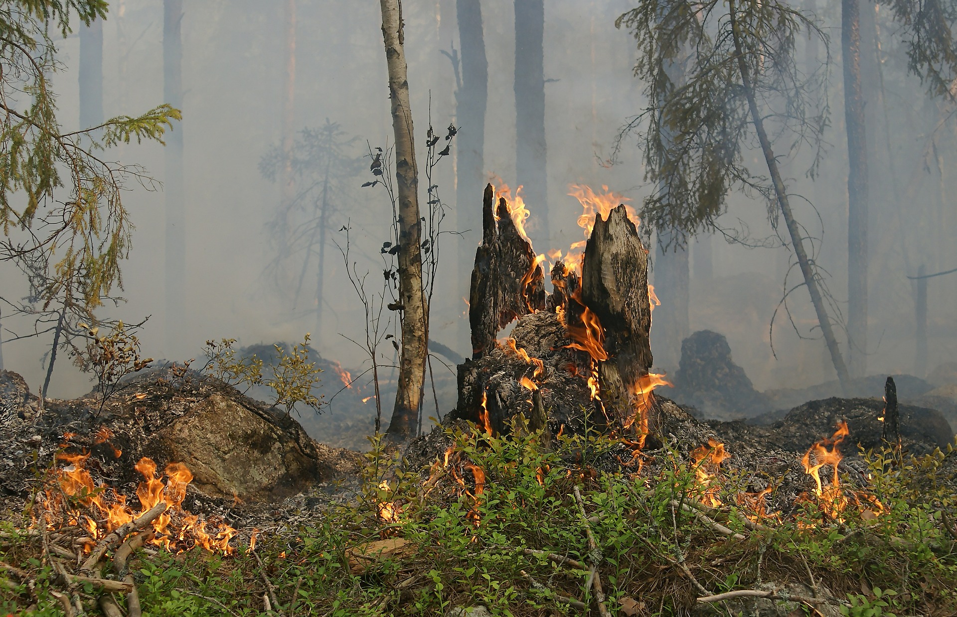 No Burn Ordinance Discussion