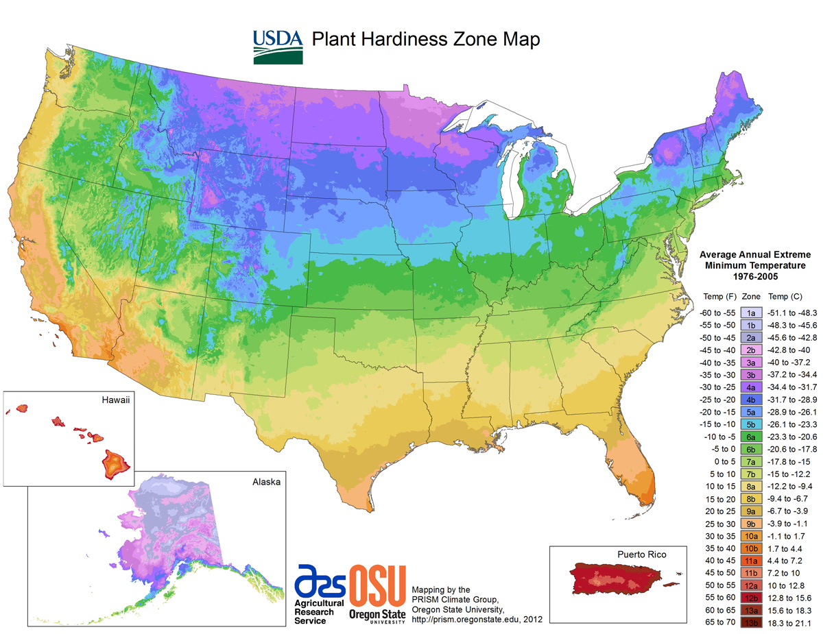 Plant Hardiness Zones Important