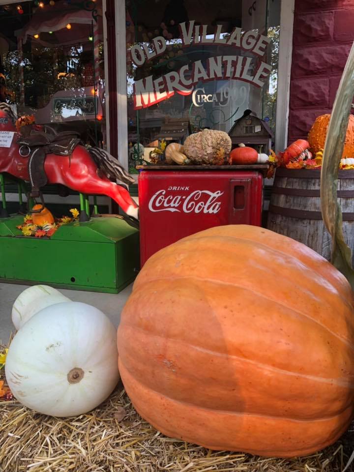 Caledonia Pumpkin Festival This Weekend