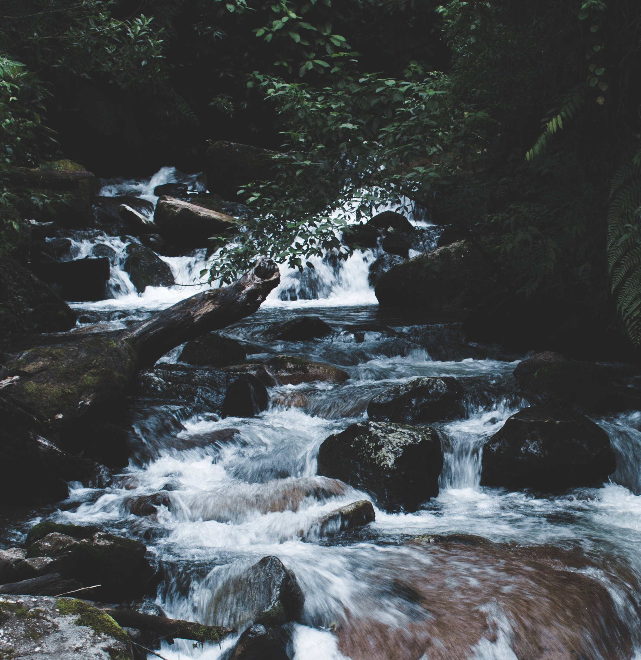 Fredericktown Man Drowns in St. Francis River