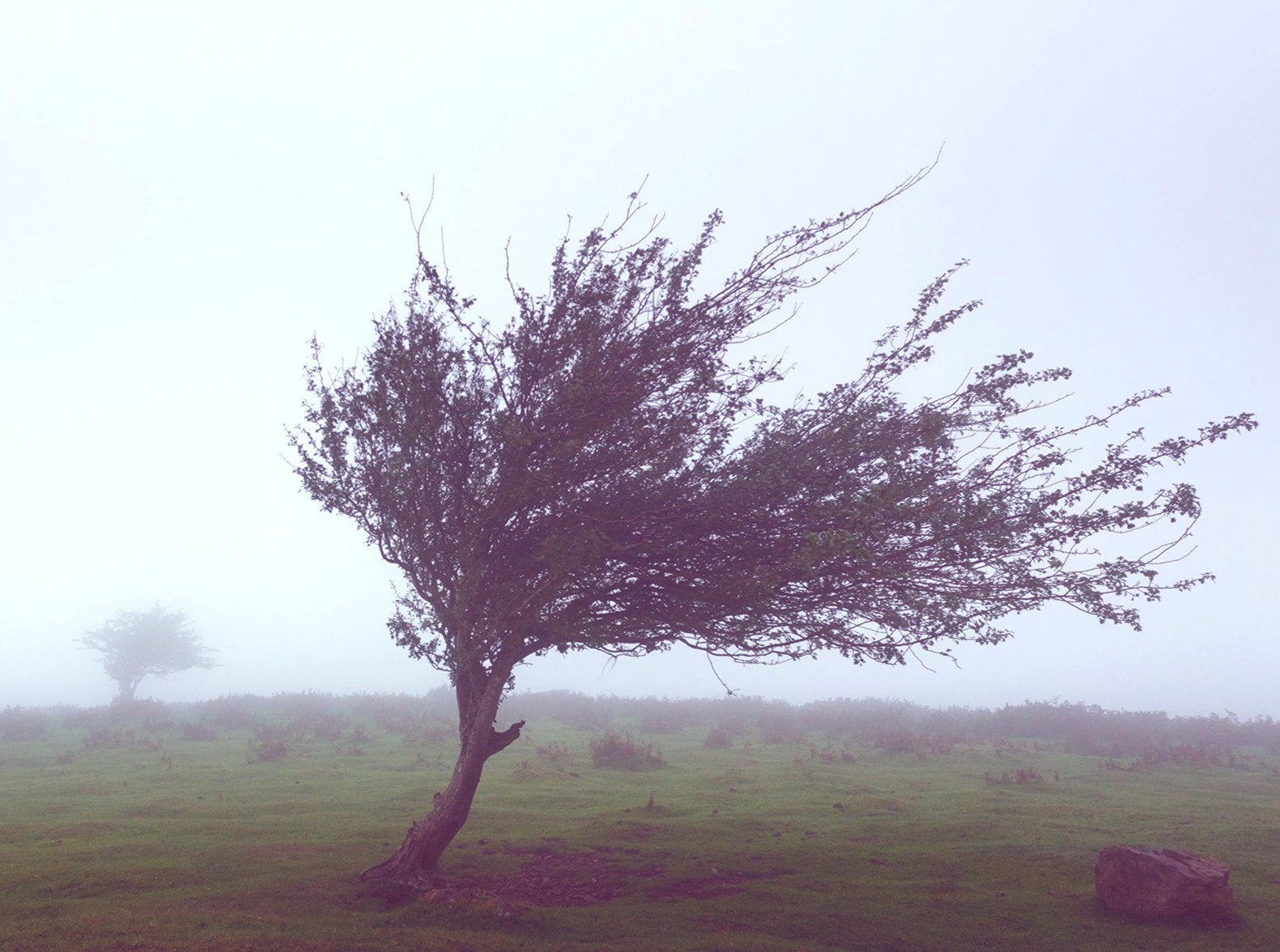 National Weather Service Wind Advisory