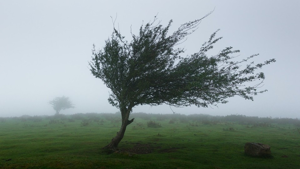 Strong Winds Expected Across the Region Today