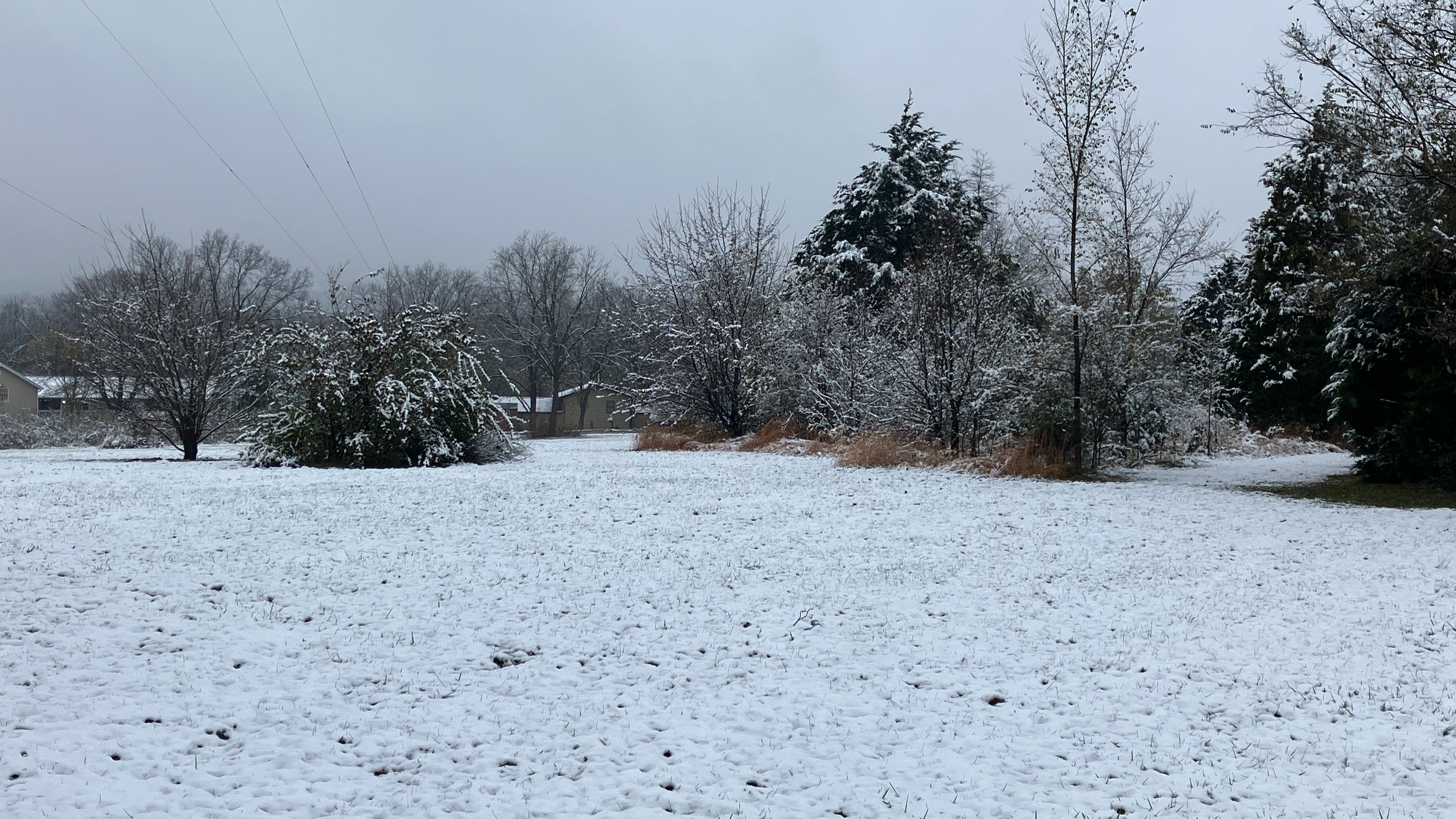 Second Early November Snow Hits the Parkland