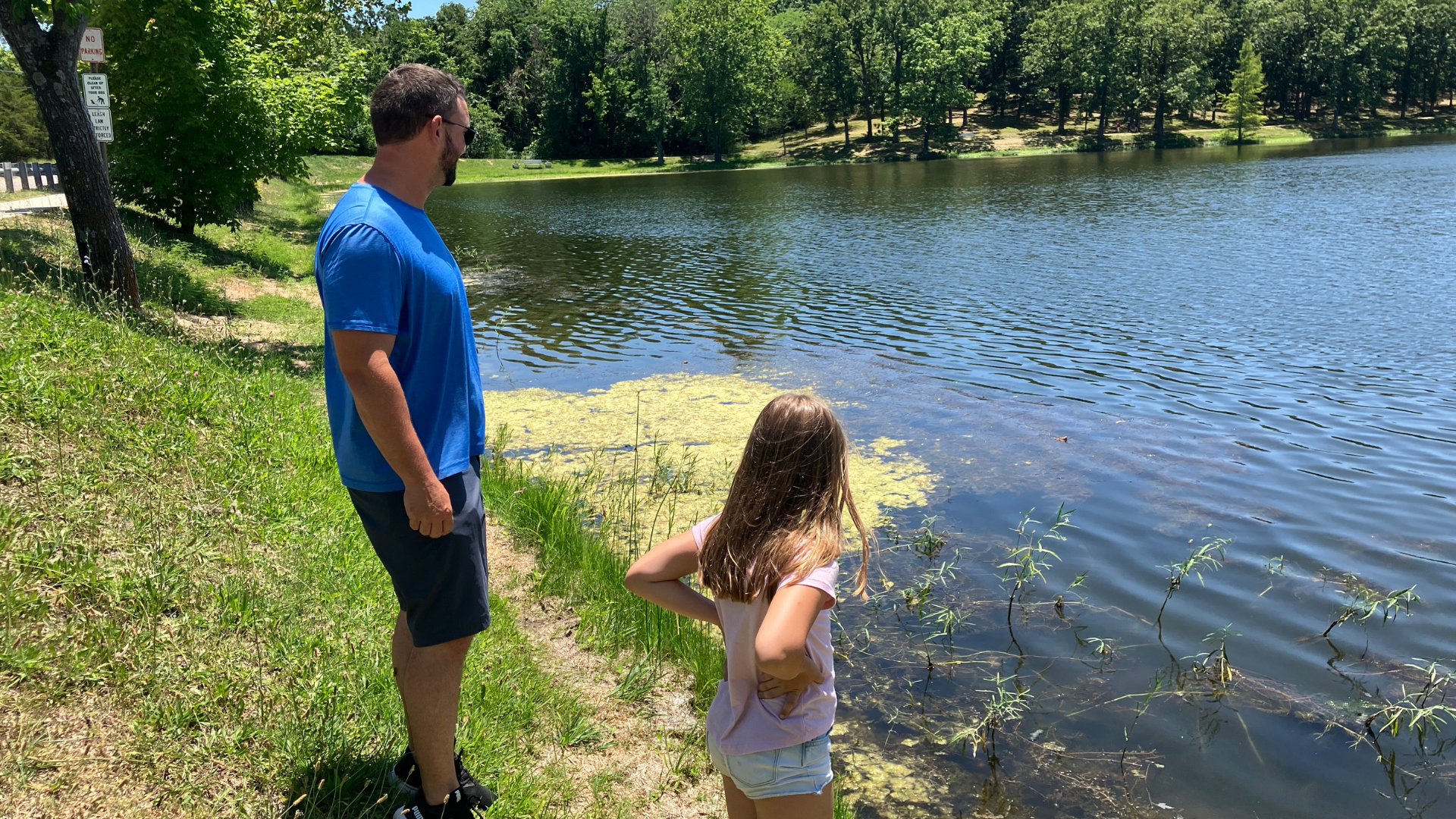 Possible Alligator Lurking in Bonne Terre Pond